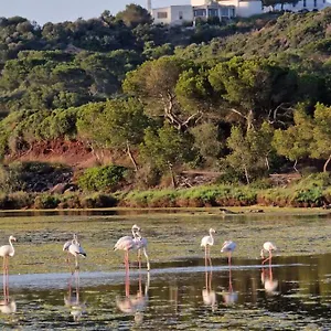  Farm stay Mongofre Spain